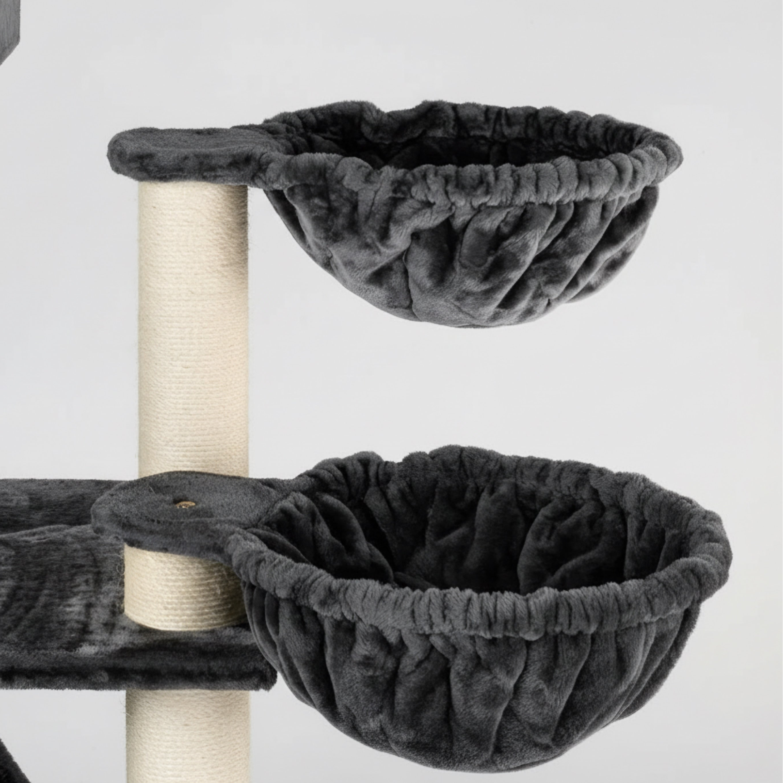 Lielas šķirnes kaķu koks Kilimandjaro de Luxe