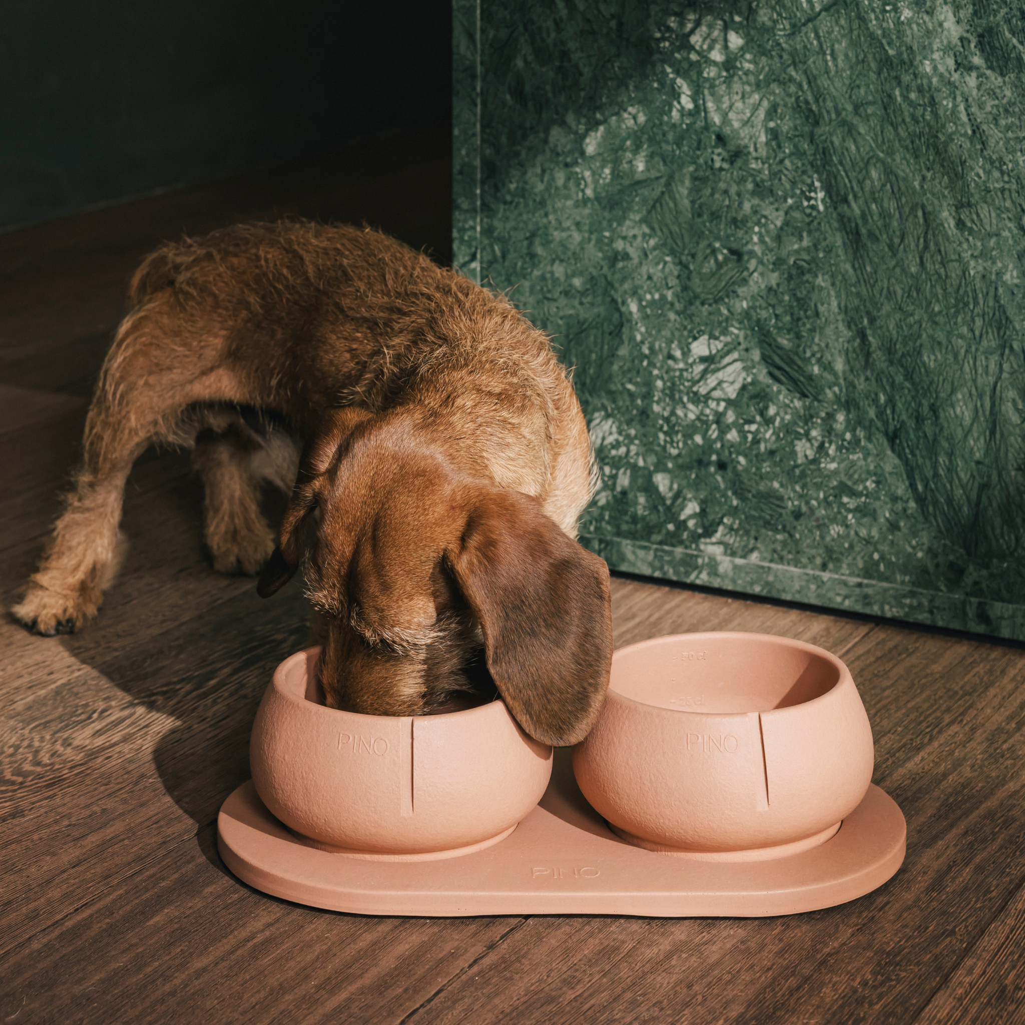 Long Ears Dog Bowl
