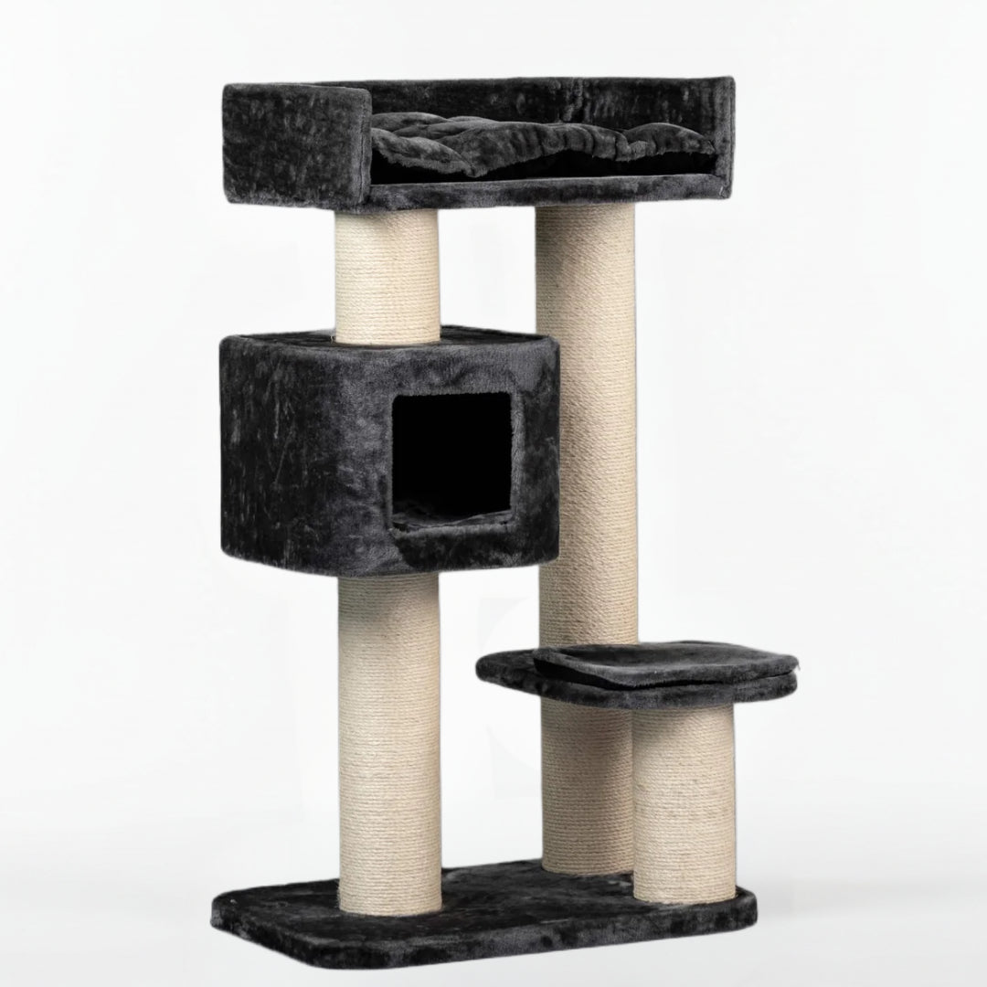 Cat Tree for Large Breeds Devon Rex