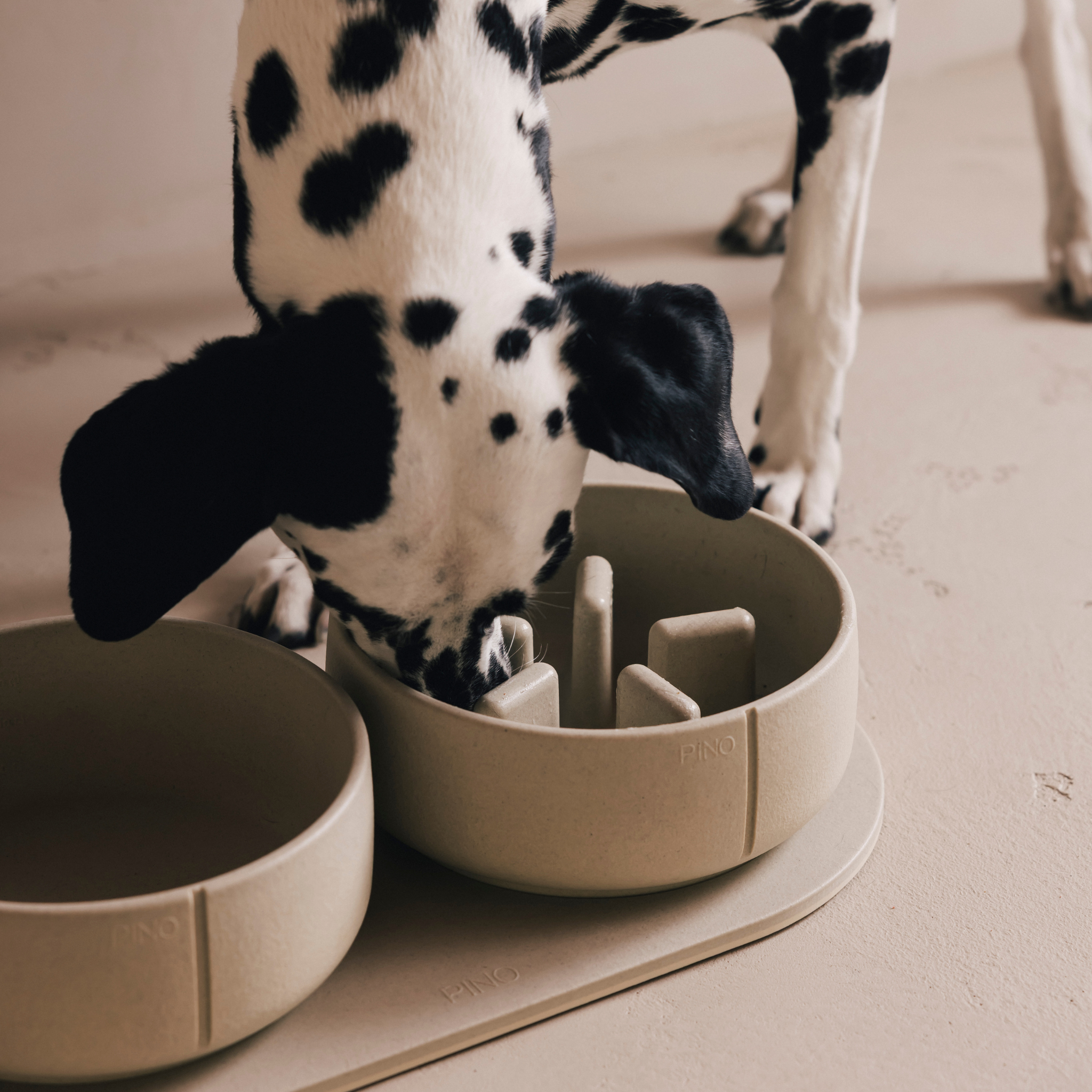 Handmade Slow Feeder Bowl for Dogs Crocodile Green