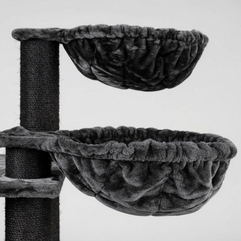 Lielas šķirnes kaķu koks Kilimandjaro de Luxe