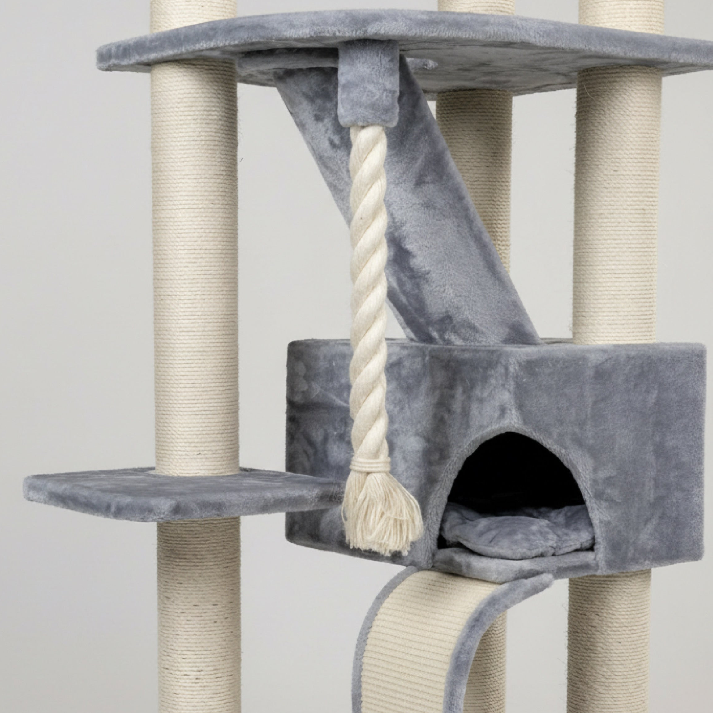 Lielas šķirnes kaķu koks Kilimandjaro de Luxe