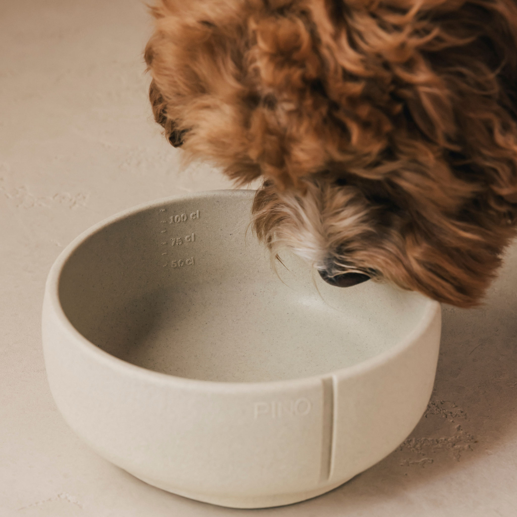 Handmade Classic Bowl for Dogs Owl Greige