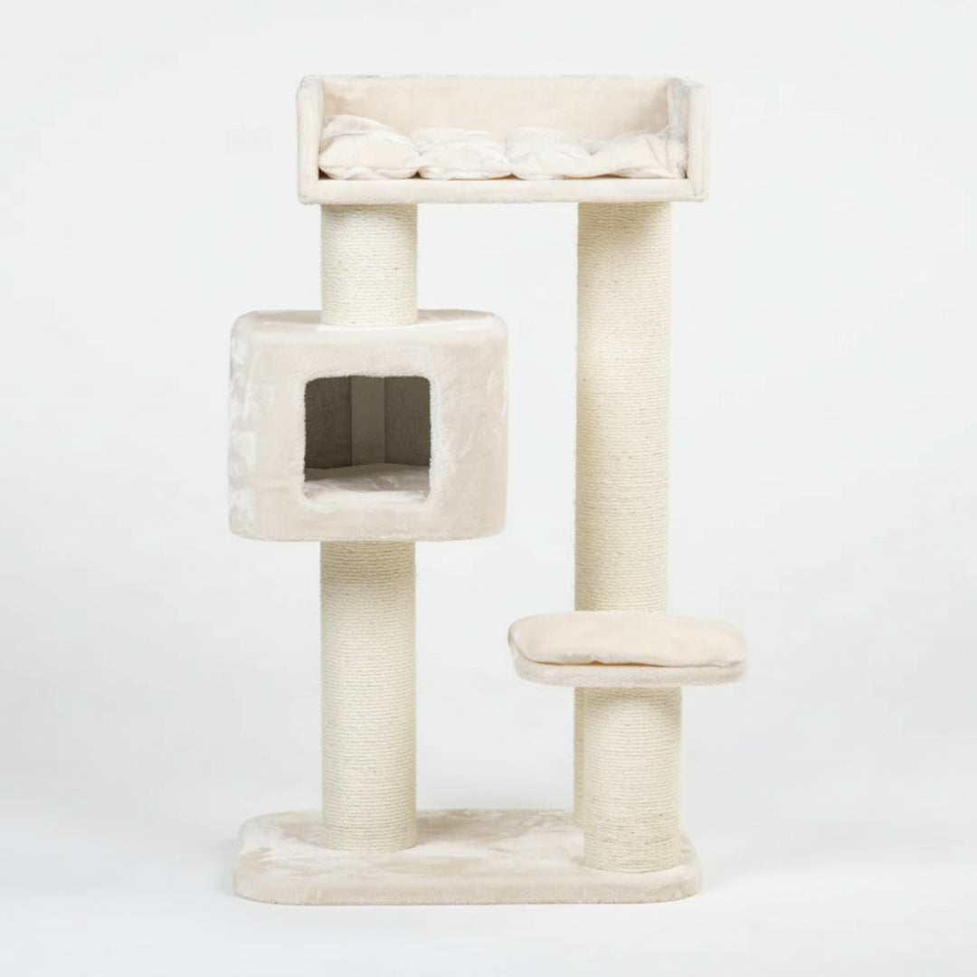 Cat Tree for Large Breeds Devon Rex