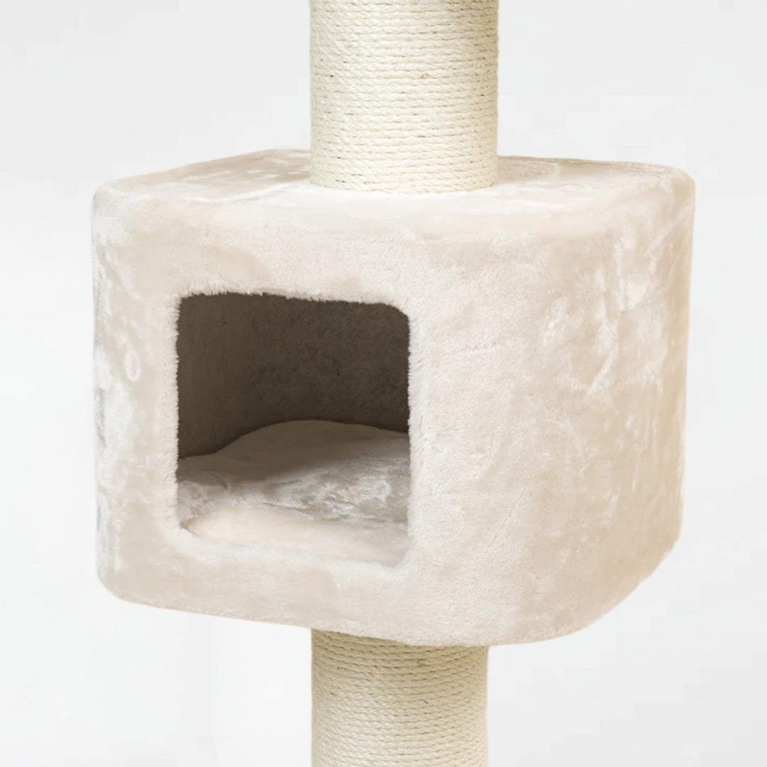 Cat Tree for Large Breeds Devon Rex