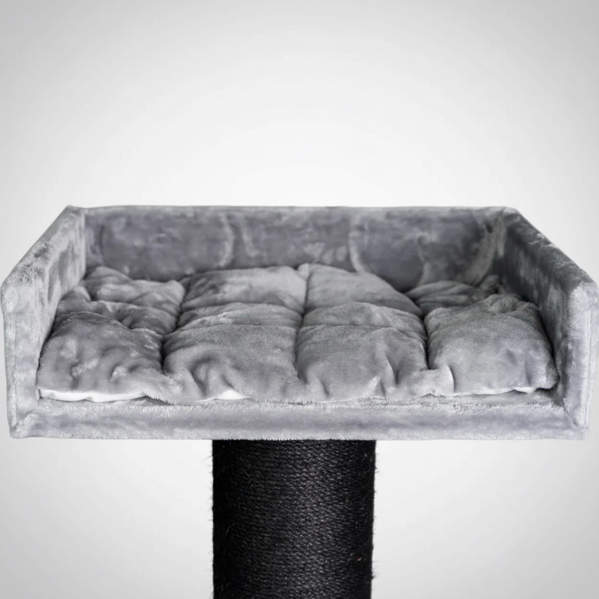 Maine Cooni Puhketorn ja Lounge