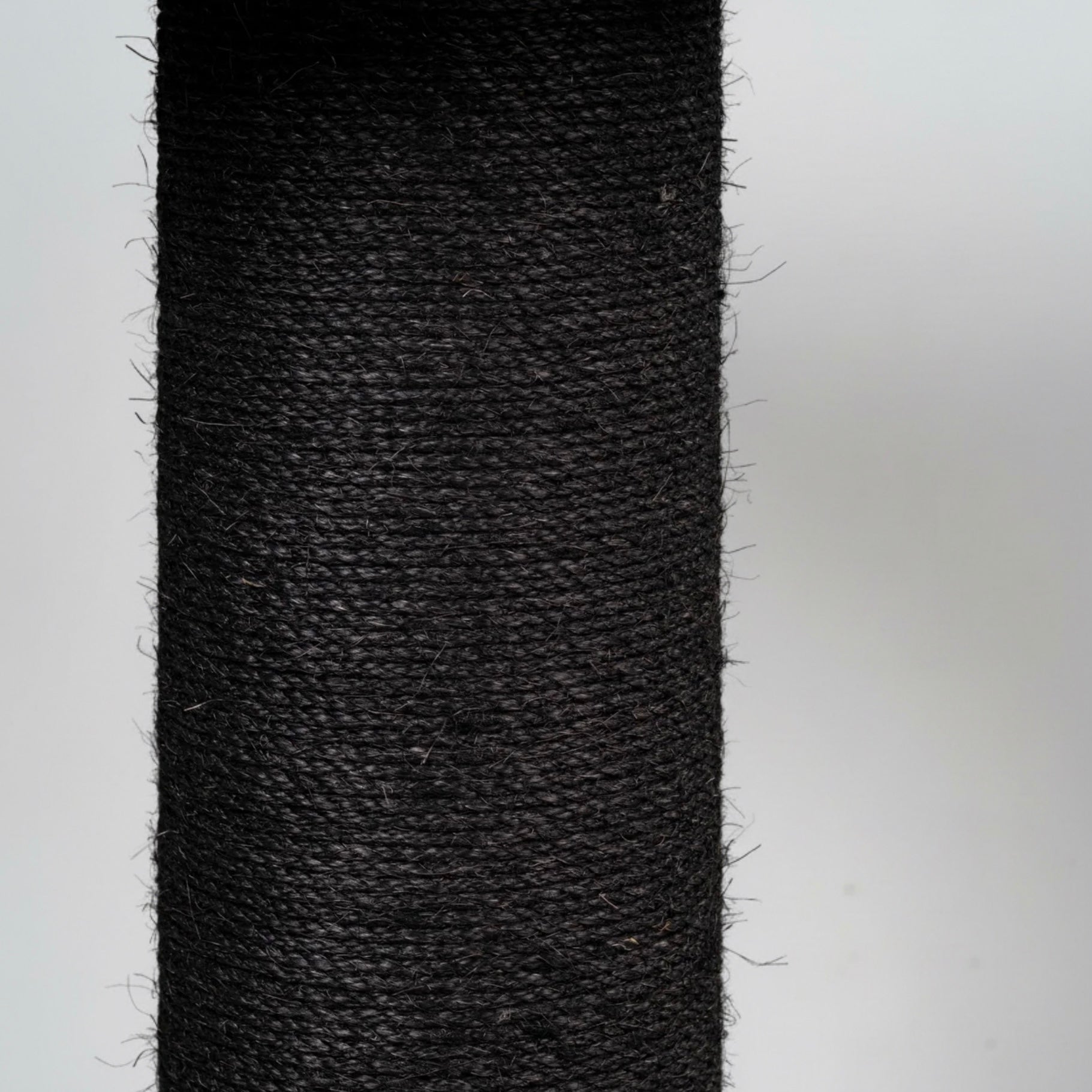 Maine Cooni Puhketorn ja Lounge