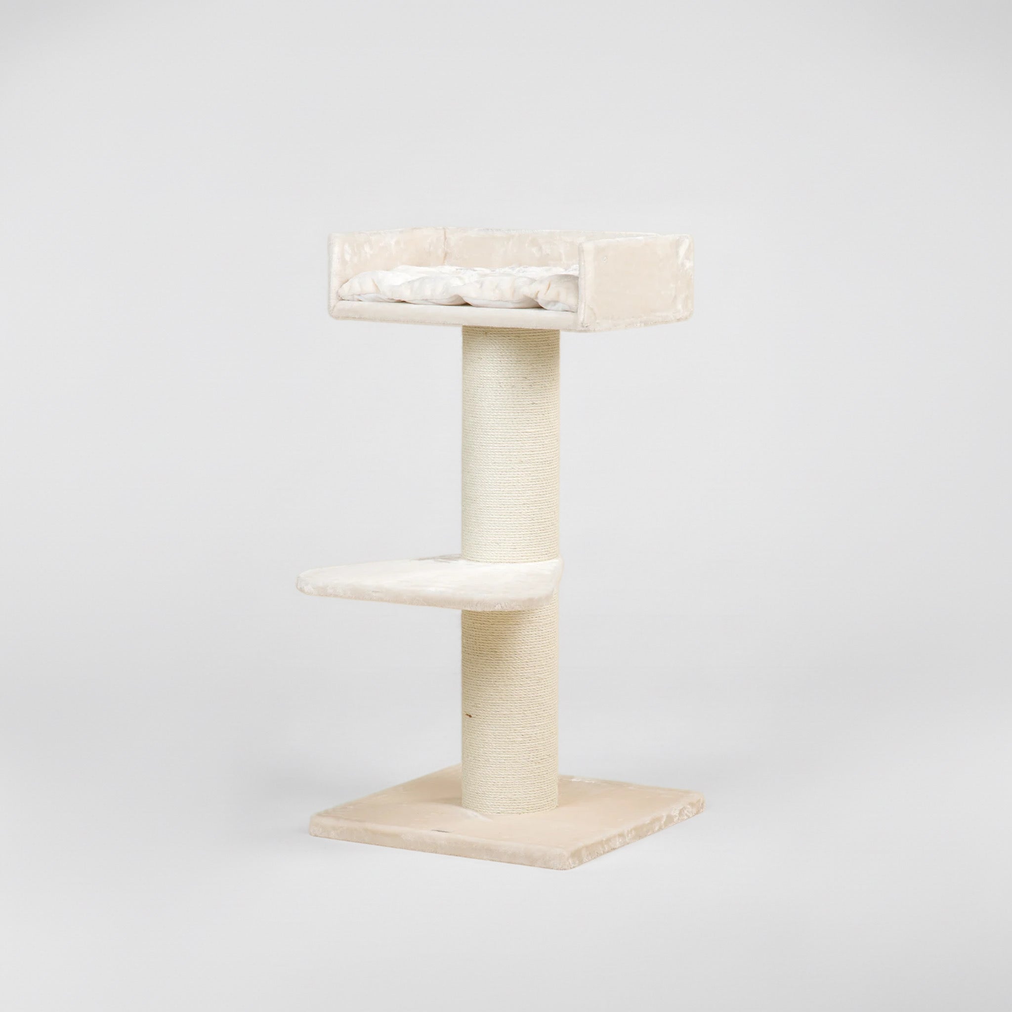 Maine Cooni Puhketorn ja Lounge