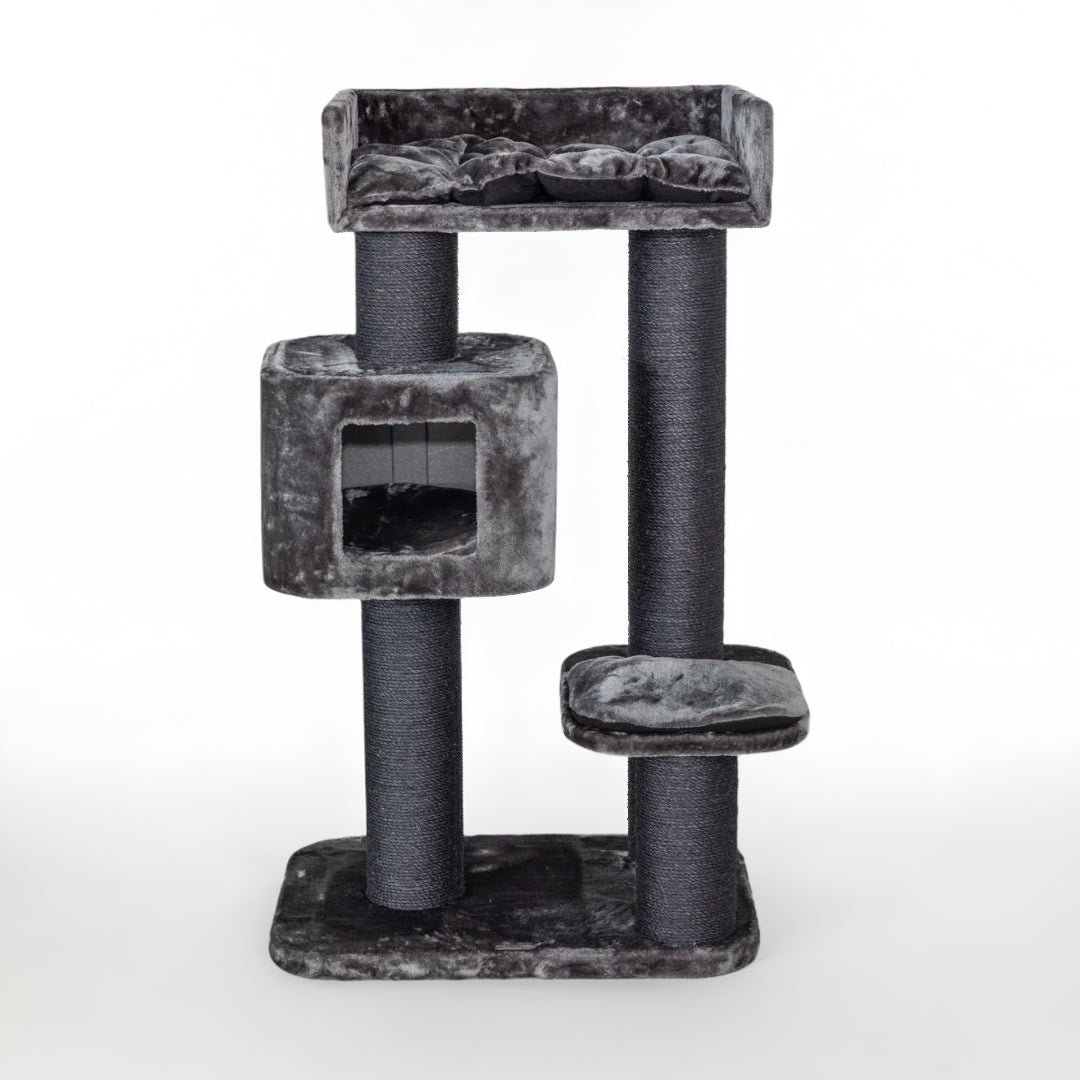 Cat Tree for Large Breeds Devon Rex