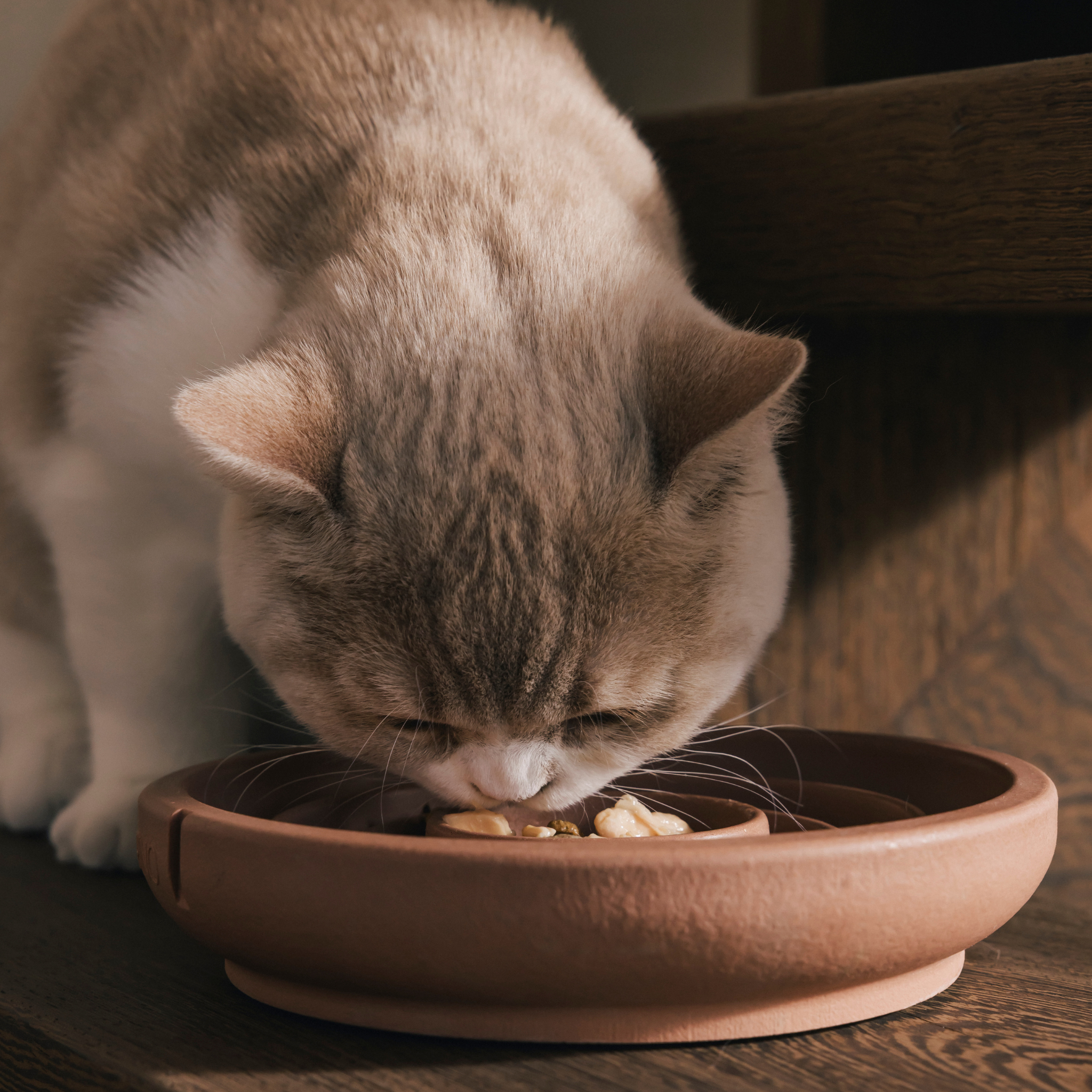 Handmade Slow Feeder Bowl for Cats