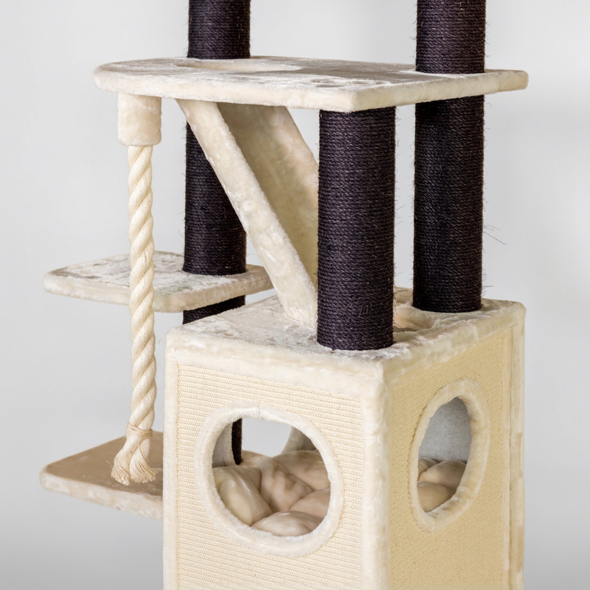 Kraapimispuu Katuskorter