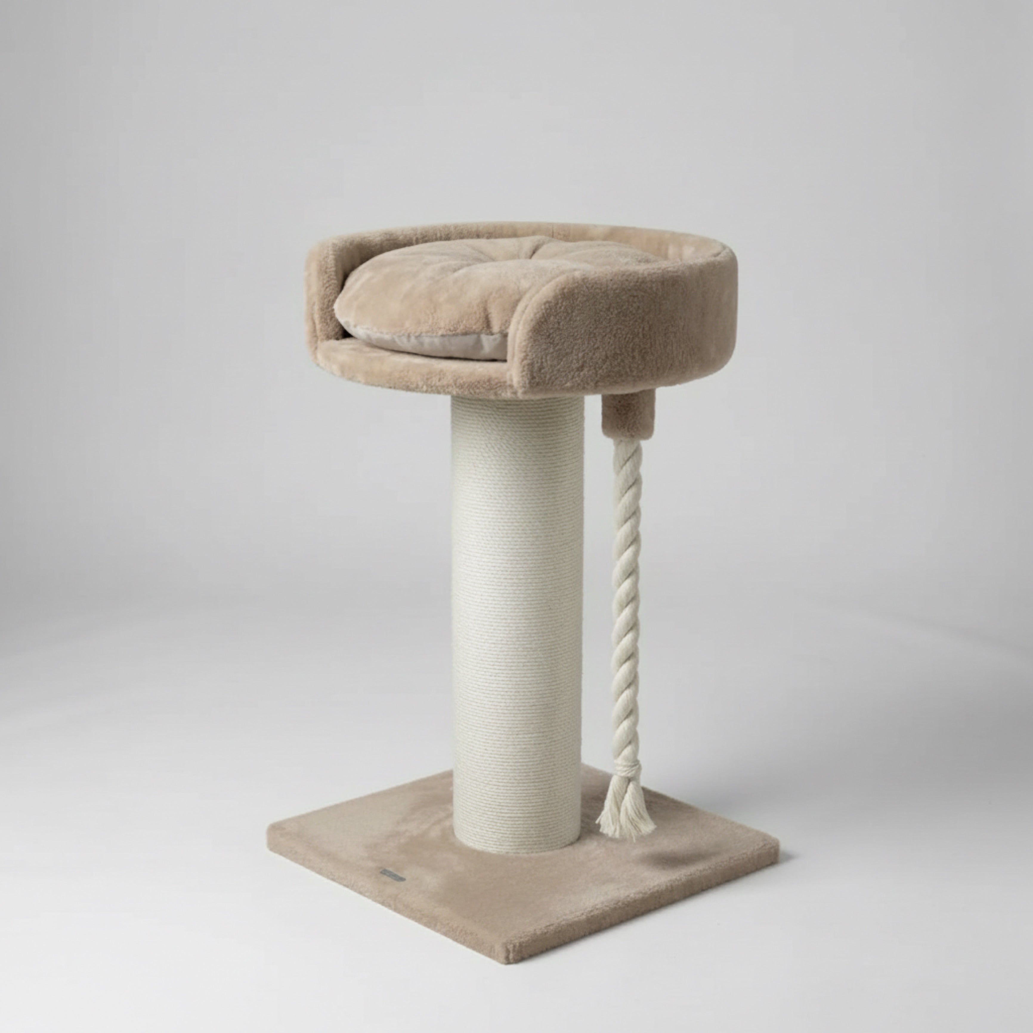 Kraapimispuu ja Lounge Chartreux – Iiris