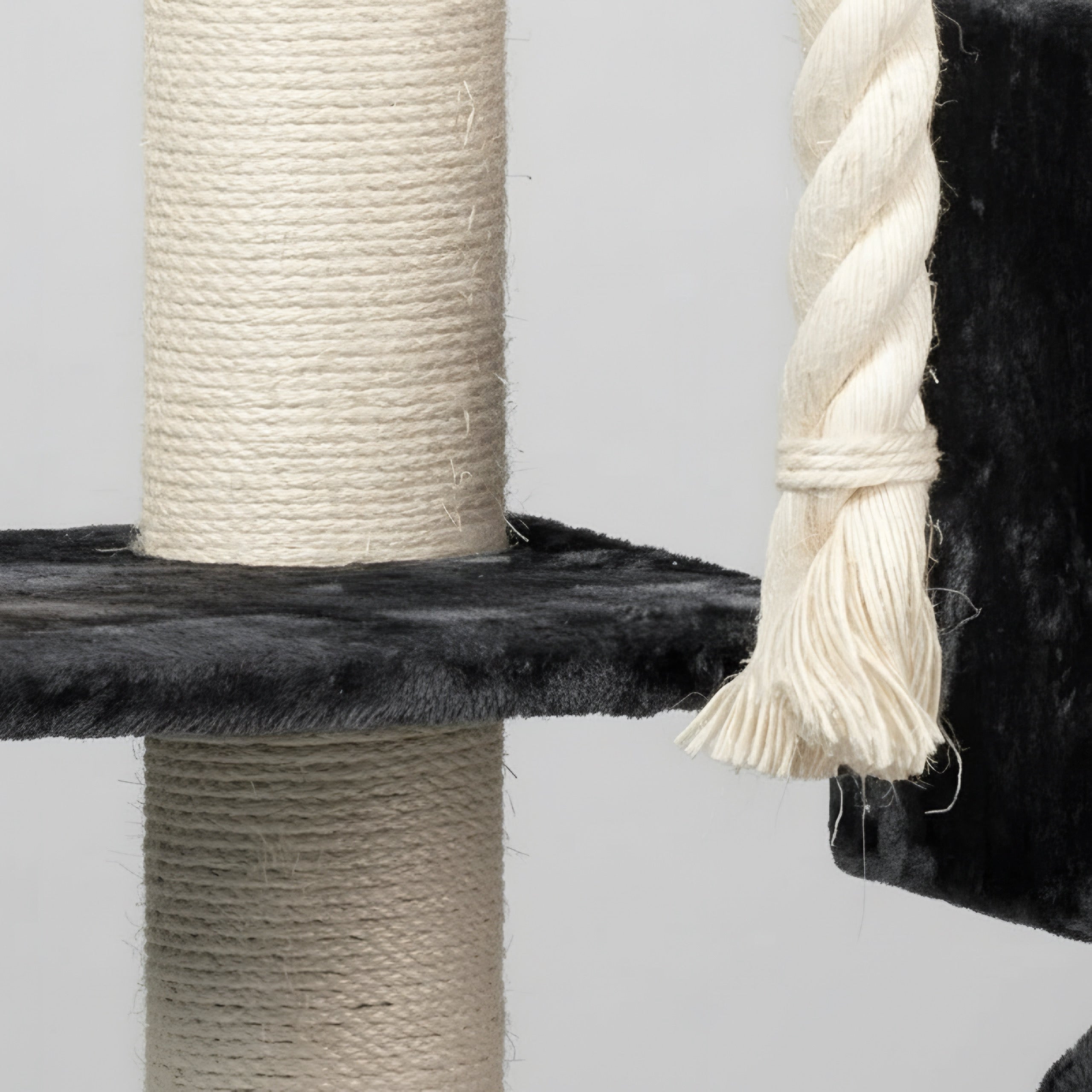 Lielas šķirnes kaķu koks Kilimandjaro de Luxe