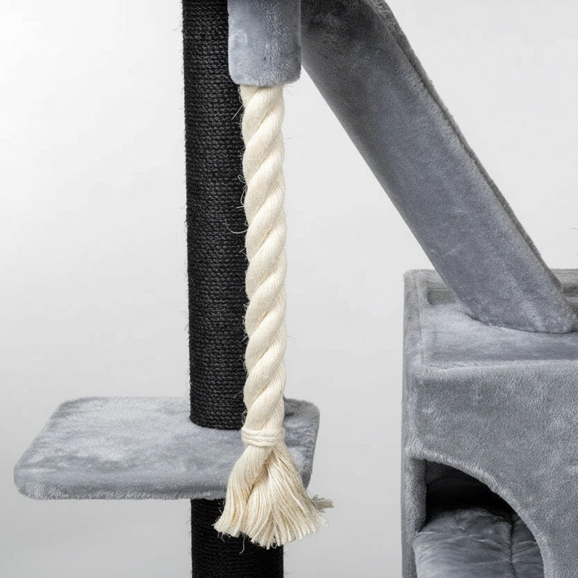 Lielas šķirnes kaķu koks Kilimandjaro de Luxe