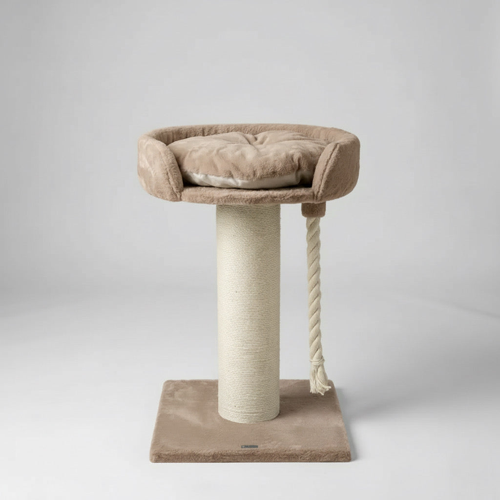 Cat Tree and Lounge Chartreux Teddy