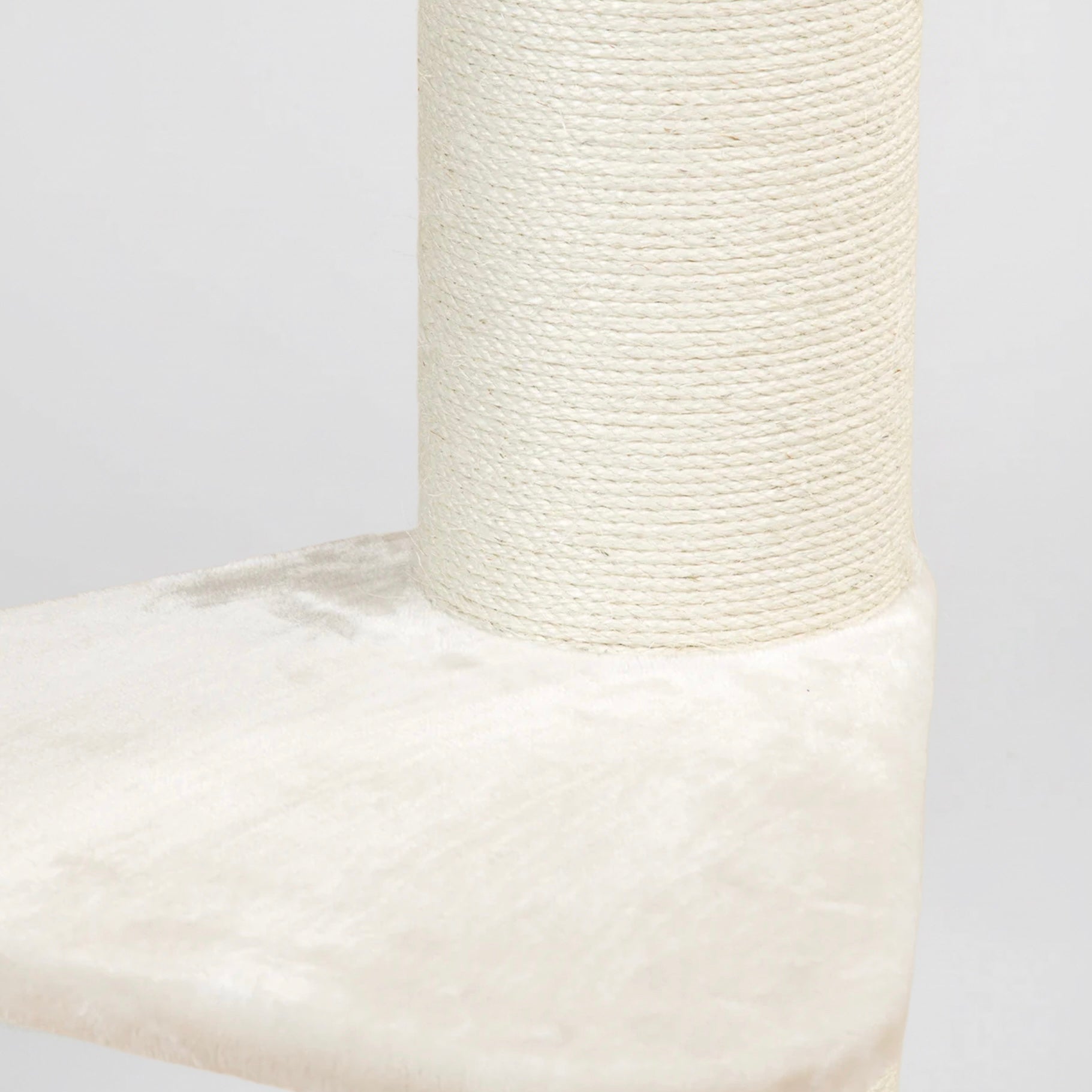 Maine Cooni Puhketorn ja Lounge