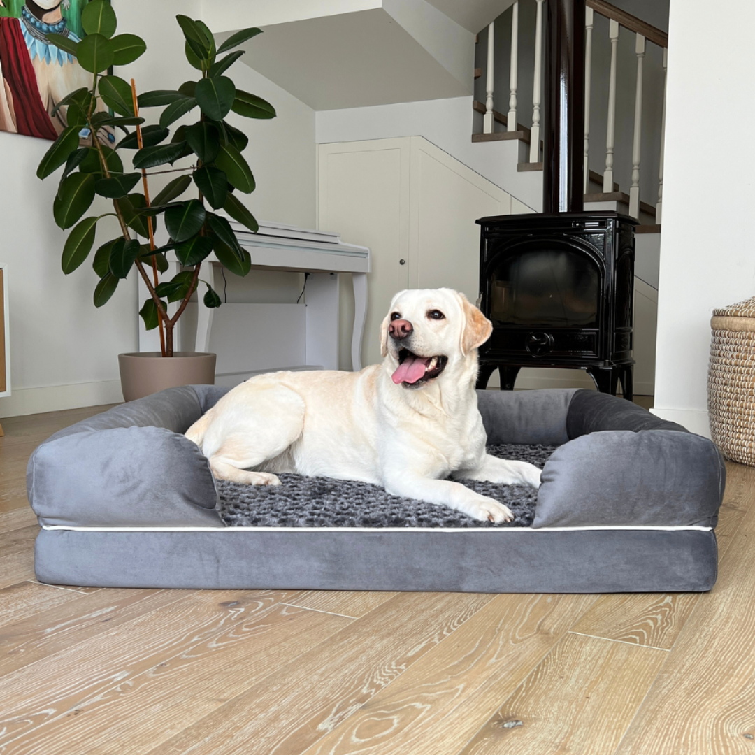 O.Buddy Orthopaedic Dog Bed Gray