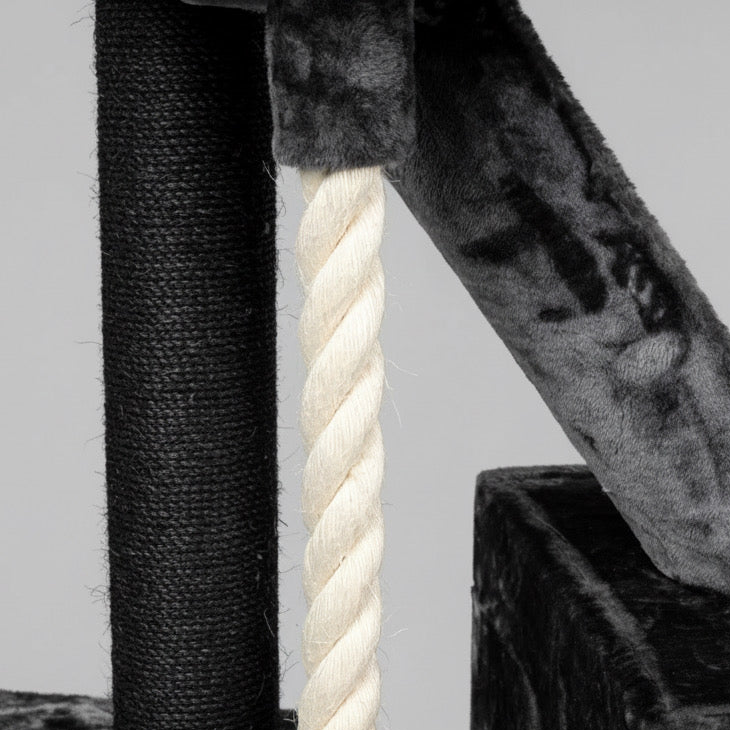 Lielas šķirnes kaķu koks Kilimandjaro de Luxe