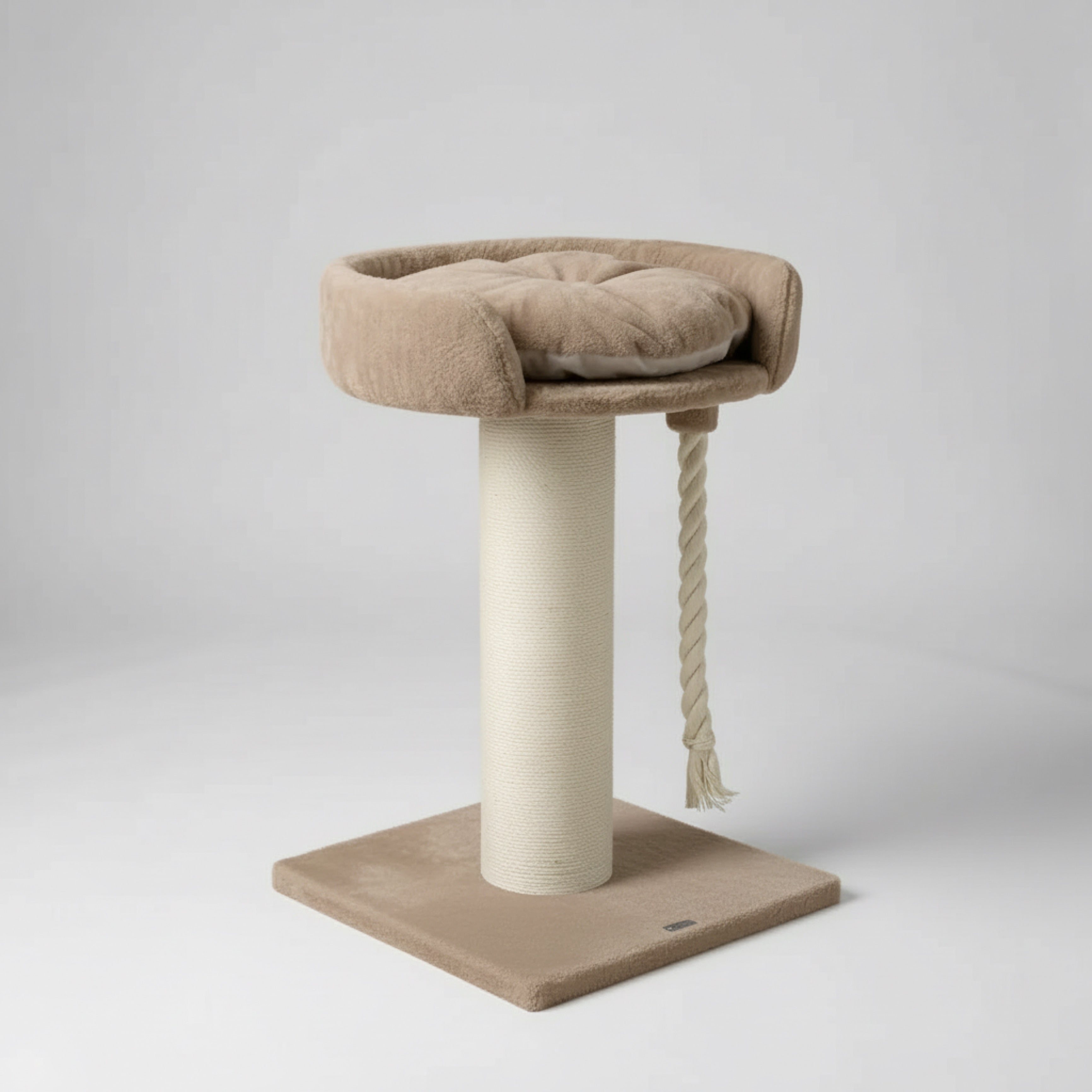 Kraapimispuu ja Lounge Chartreux – Iiris