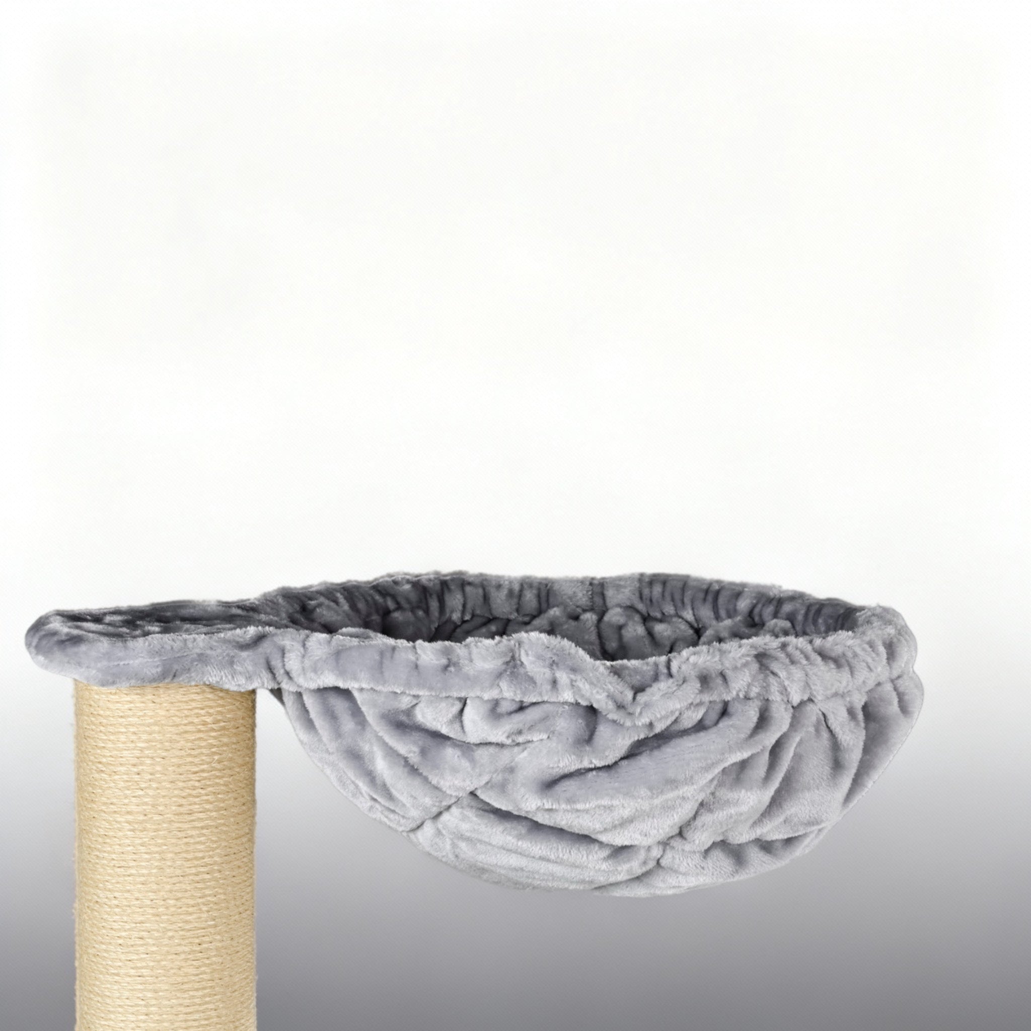 Kraapimispuu Katuskorter