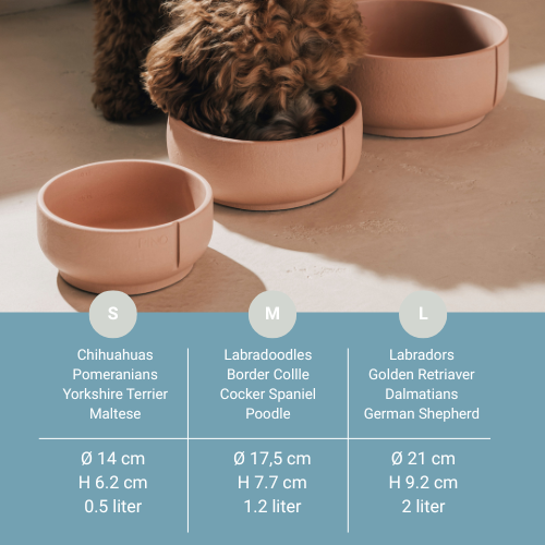 Handmade Classic Bowl for Dogs Salmon Terra