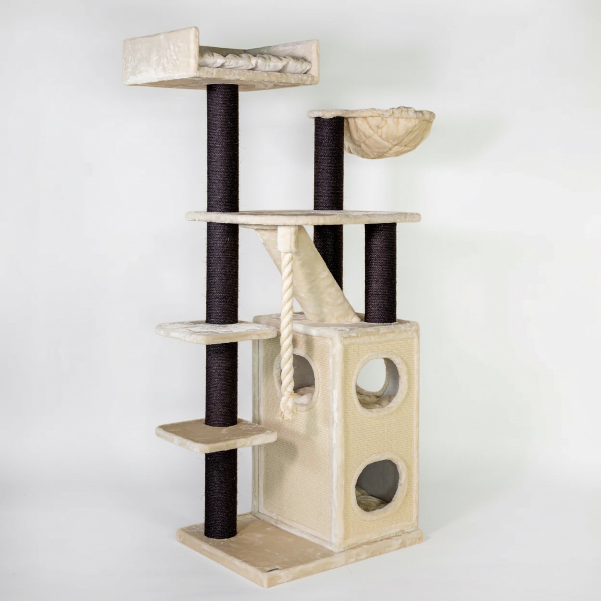 Kraapimispuu Katuskorter