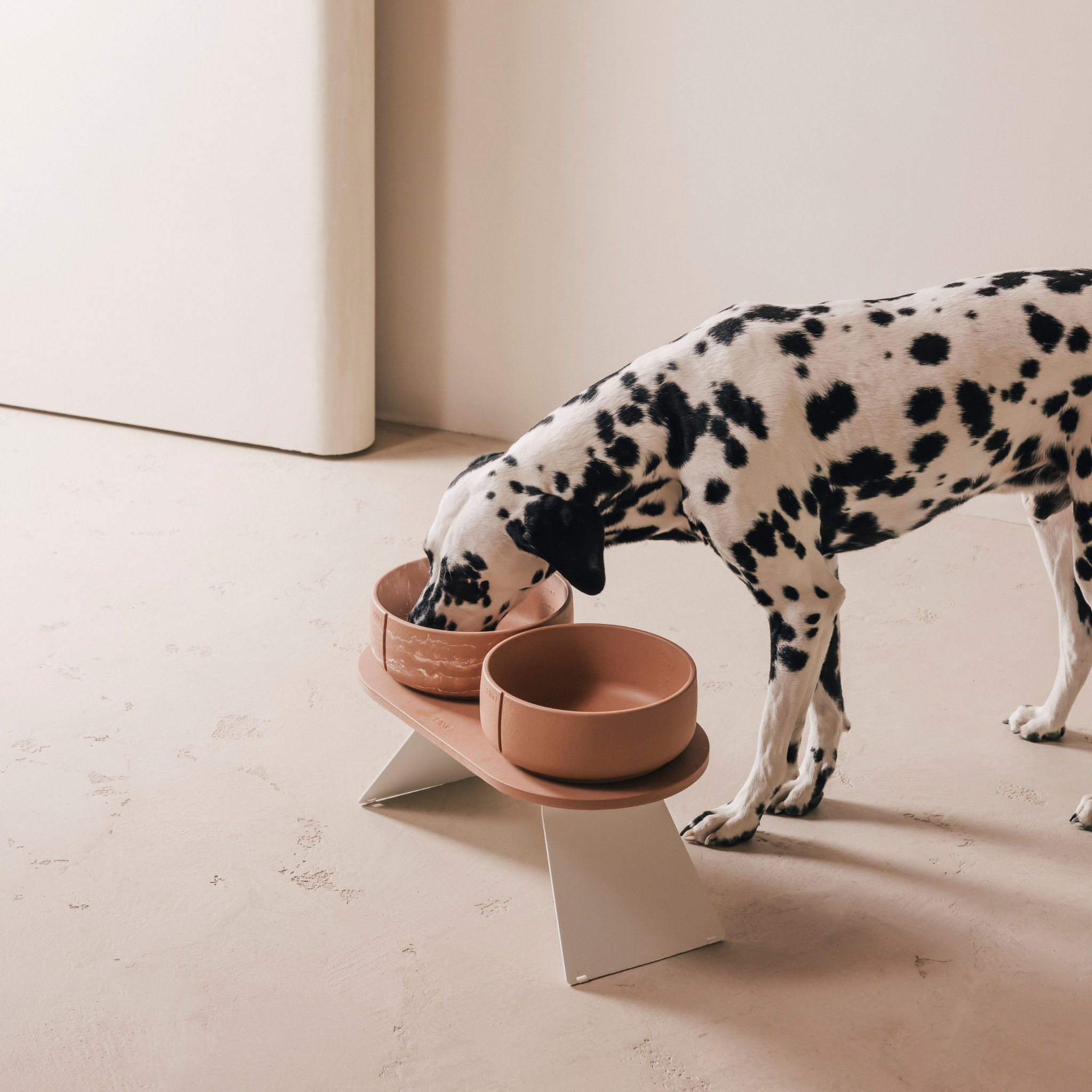 Adjustable Raised Tray Set for Dogs & Cats