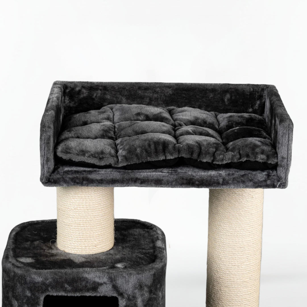 Cat Tree for Large Breeds Devon Rex