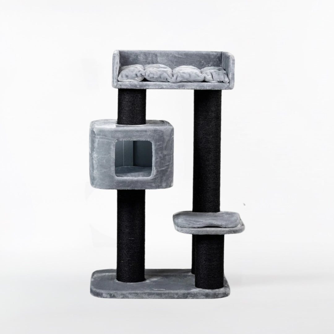 Cat Tree for Large Breeds Devon Rex