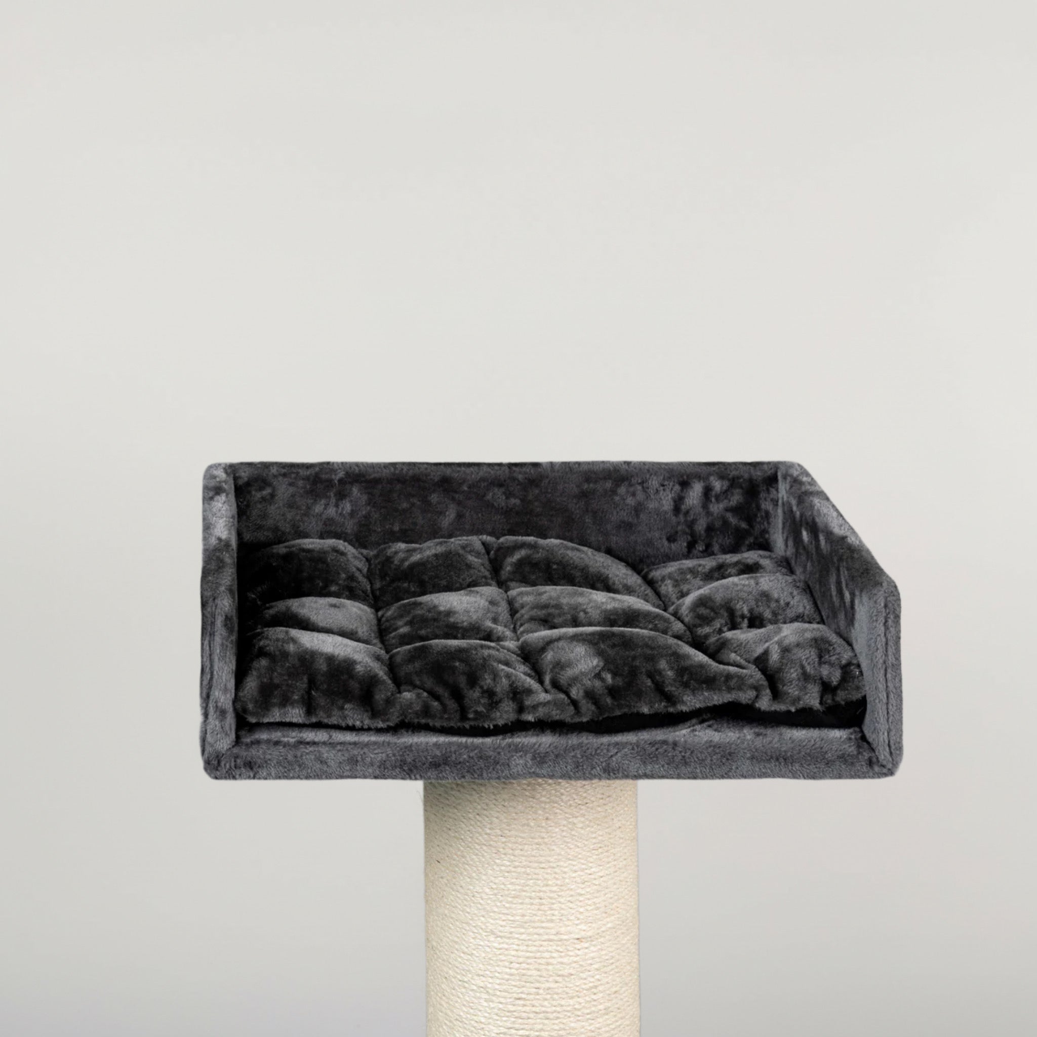 Maine Cooni Puhketorn ja Lounge