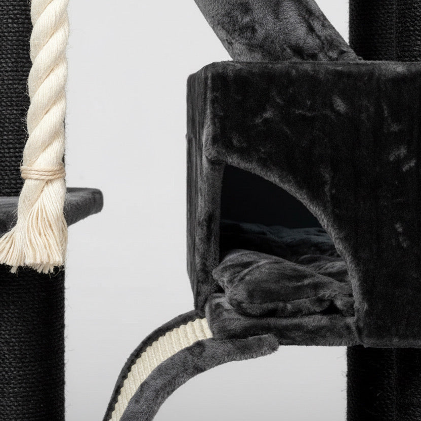 Lielas šķirnes kaķu koks Kilimandjaro de Luxe