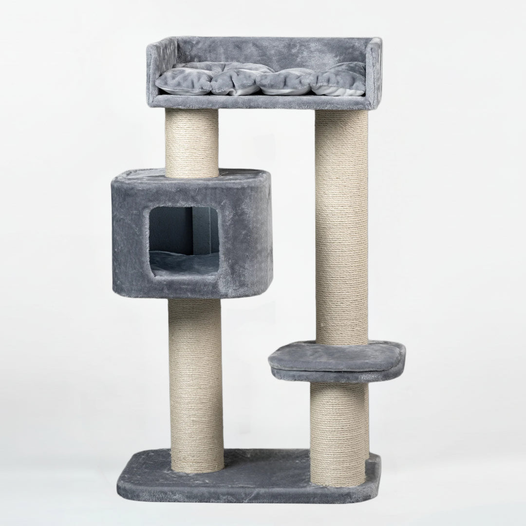 Cat Tree for Large Breeds Devon Rex
