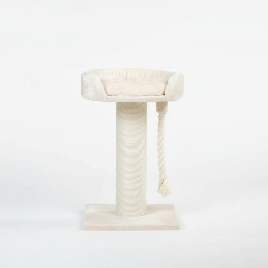 Cat Tree and Lounge Chartreux