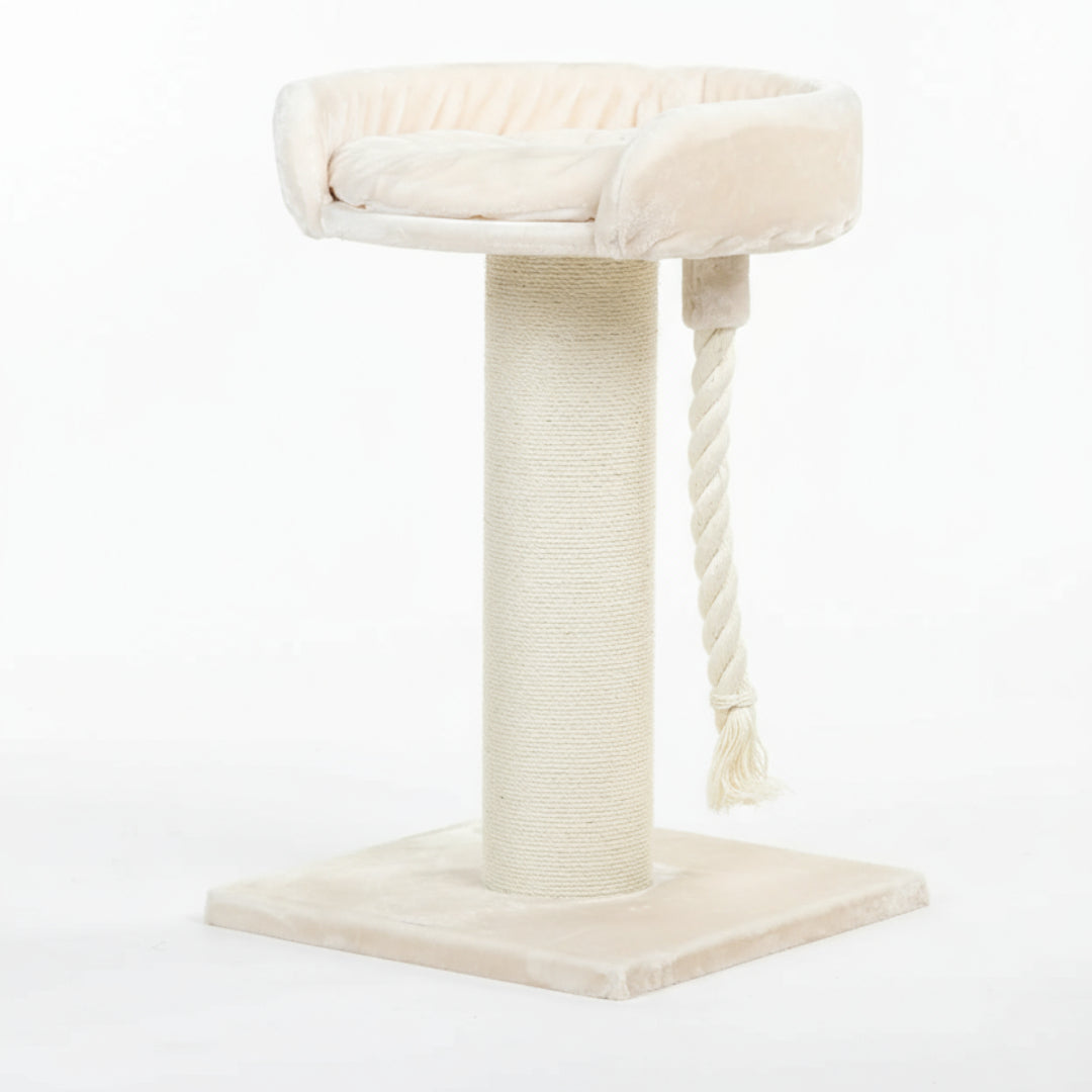 Cat Tree and Lounge Chartreux