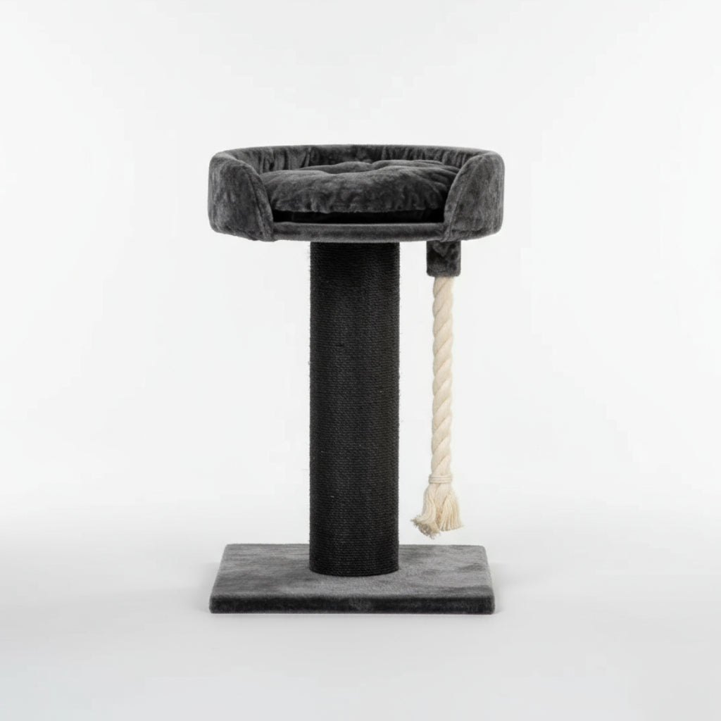 Cat Tree and Lounge Chartreux