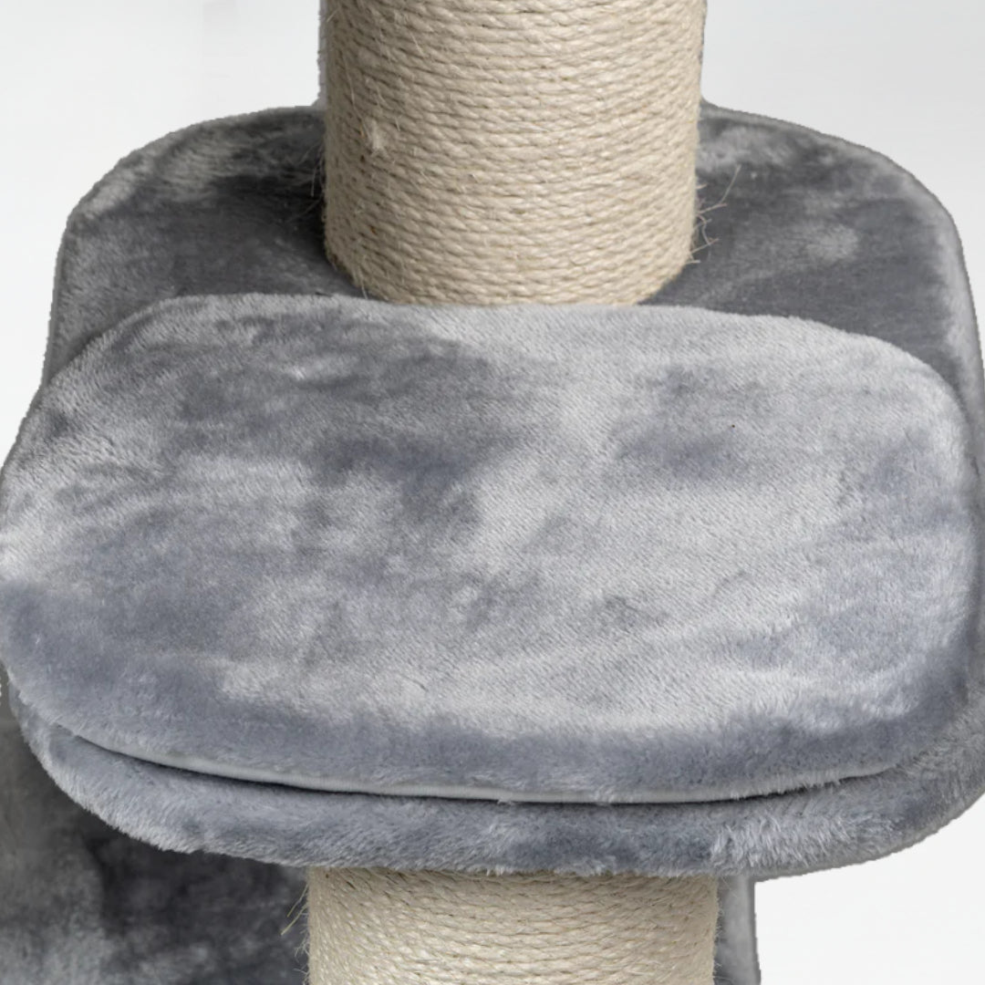 Cat Tree for Large Breeds Devon Rex