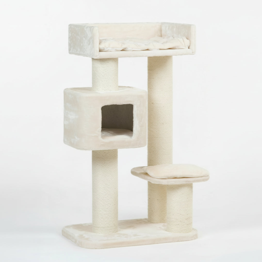 Cat Tree for Large Breeds Devon Rex