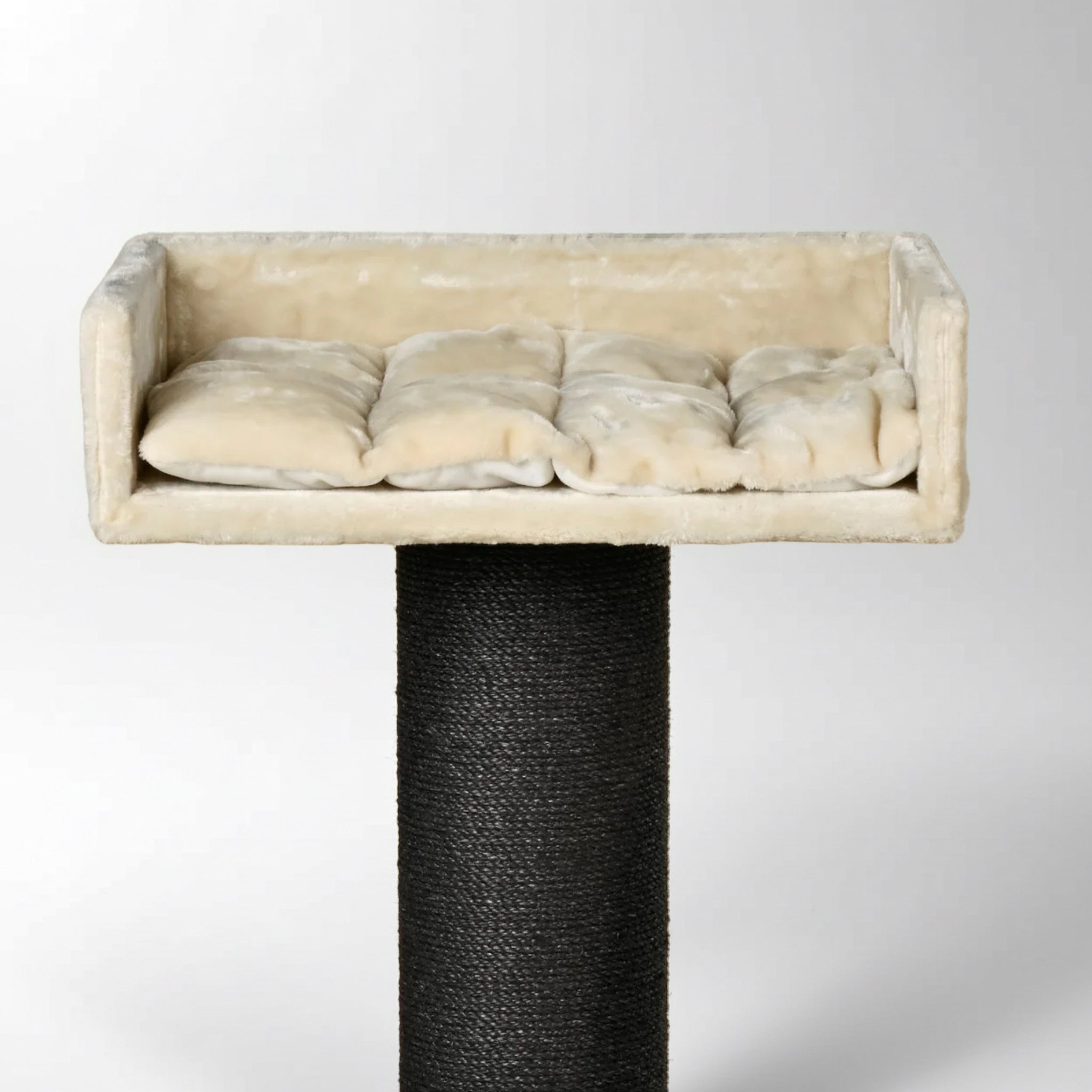 Maine Cooni Puhketorn ja Lounge