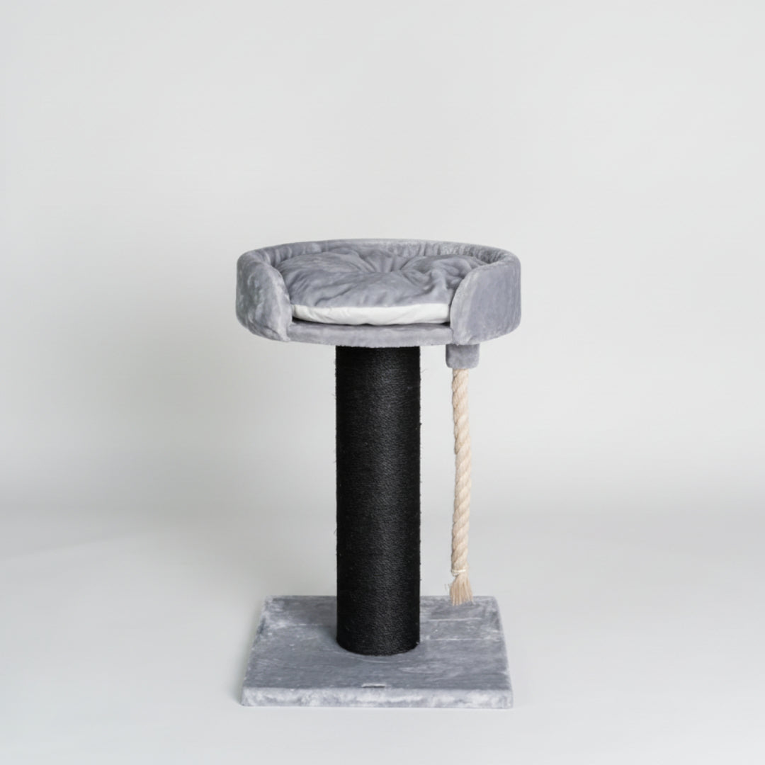 Cat Tree and Lounge Chartreux