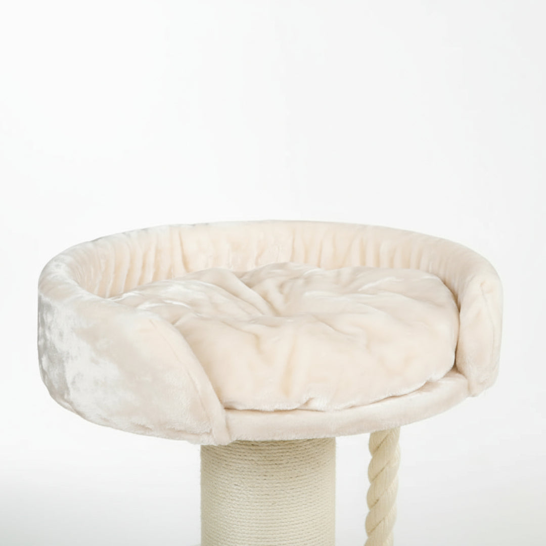 Cat Tree and Lounge Chartreux