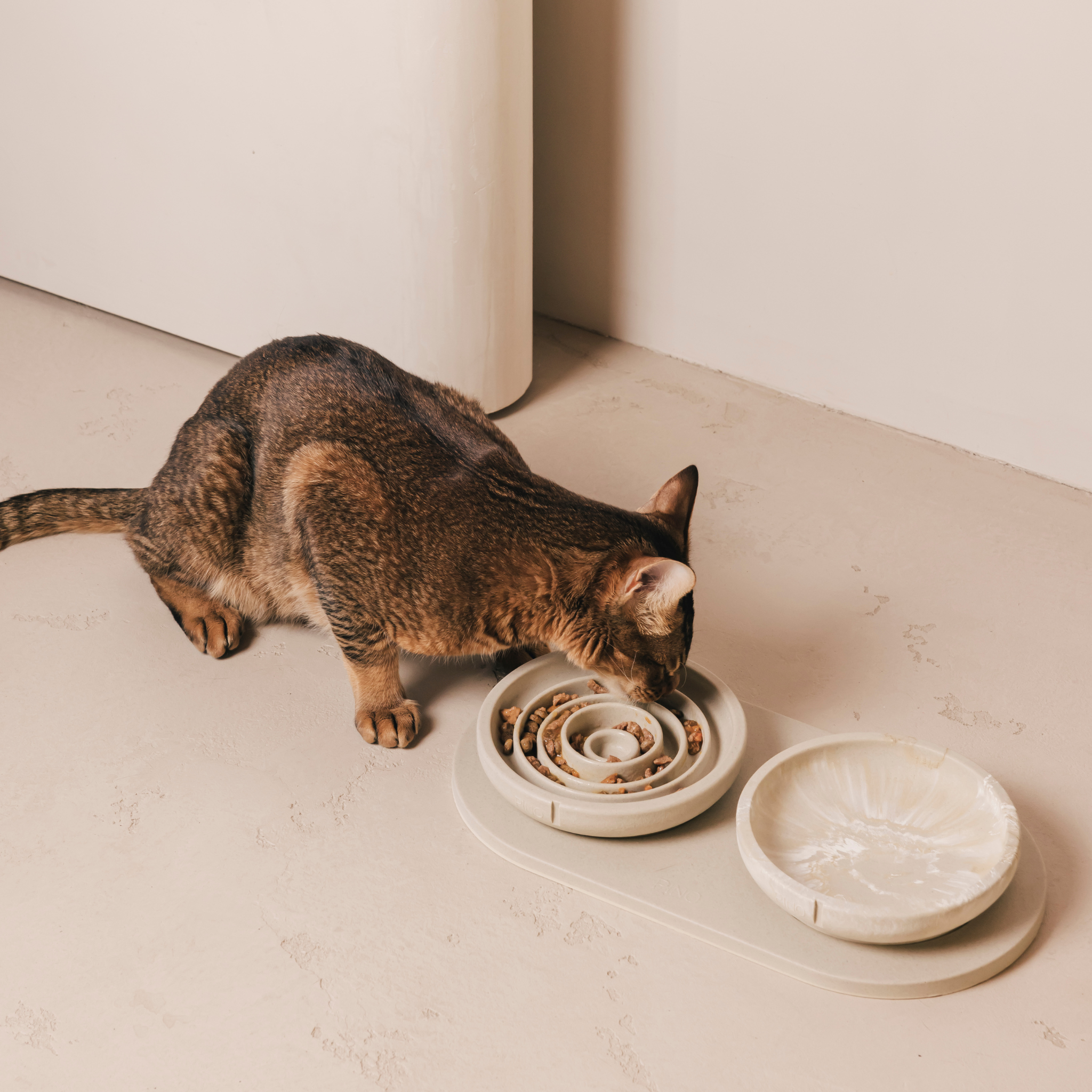 Handmade Whisker Friendly Cat Bowl