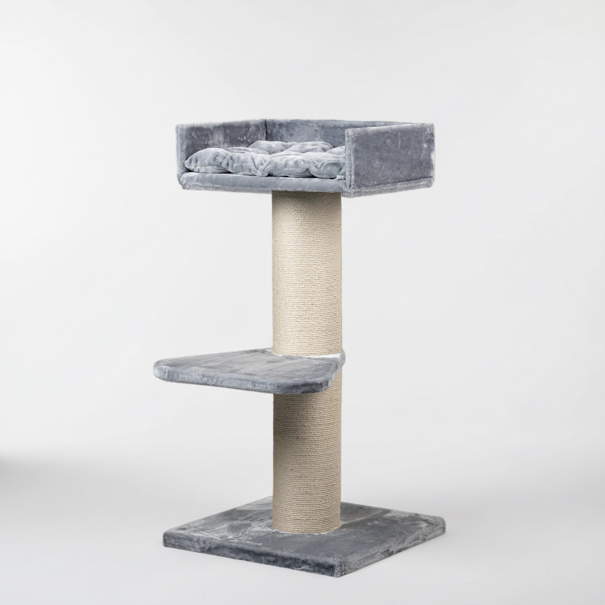 Maine Cooni Puhketorn ja Lounge