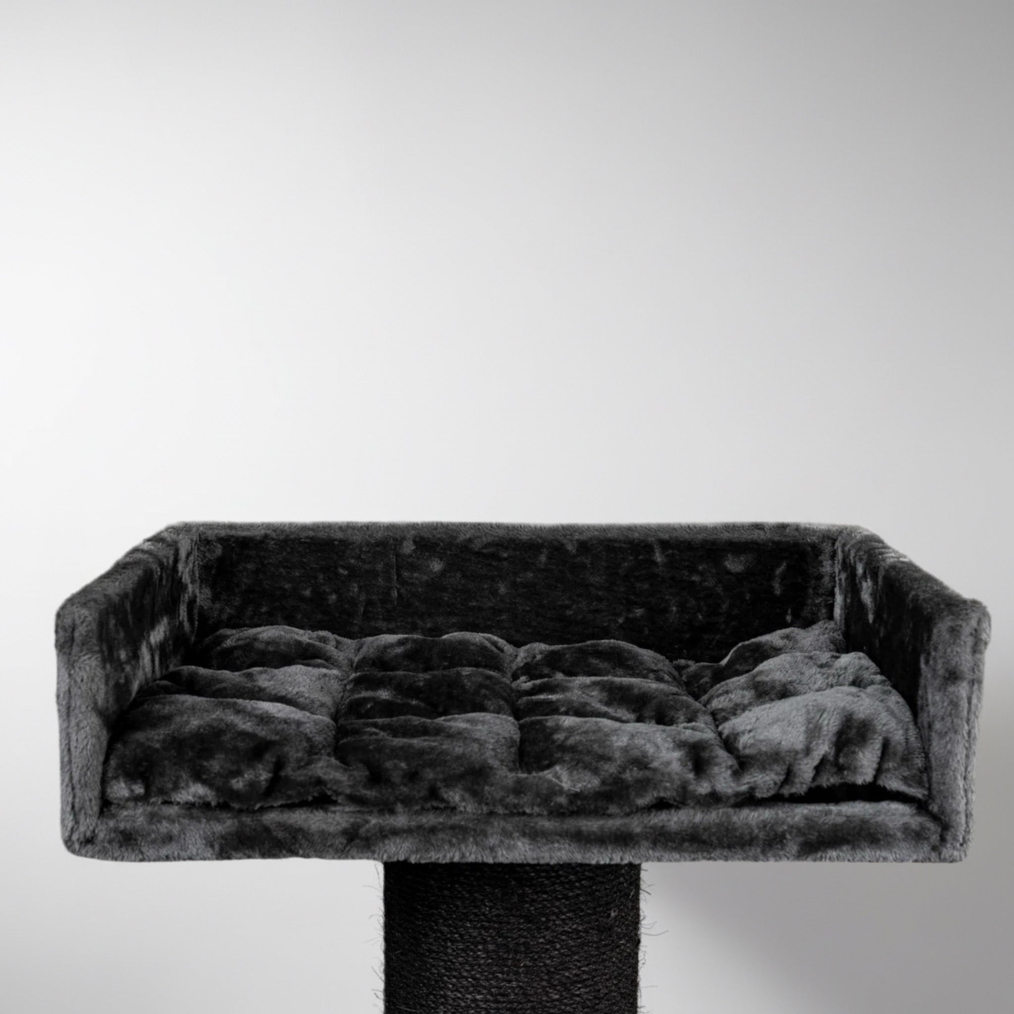 Maine Cooni Puhketorn ja Lounge