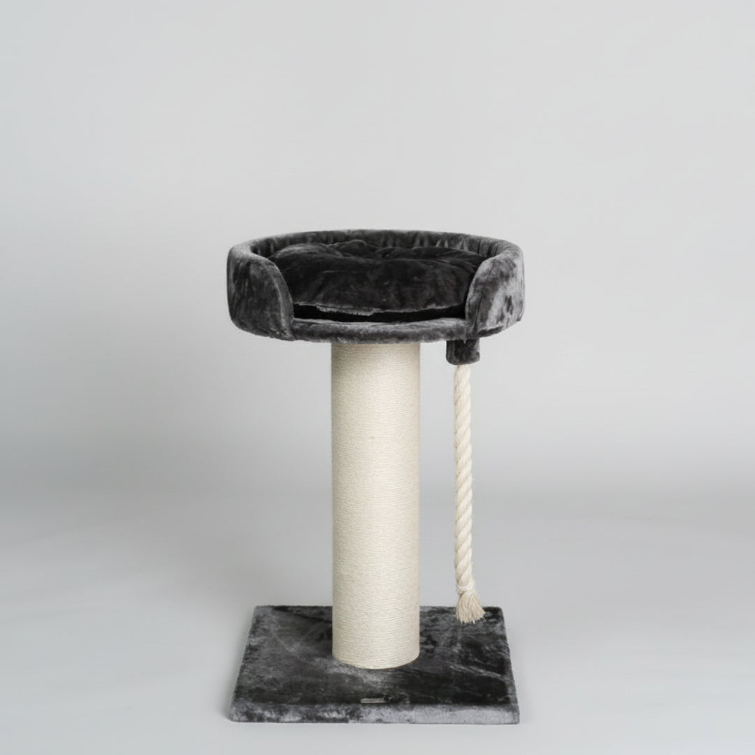 Cat Tree and Lounge Chartreux