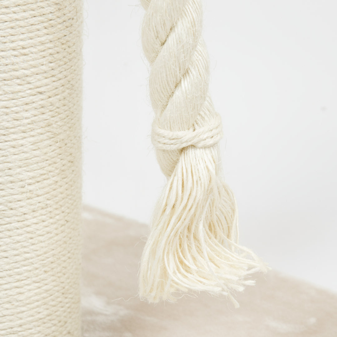 Cat Tree and Lounge Chartreux