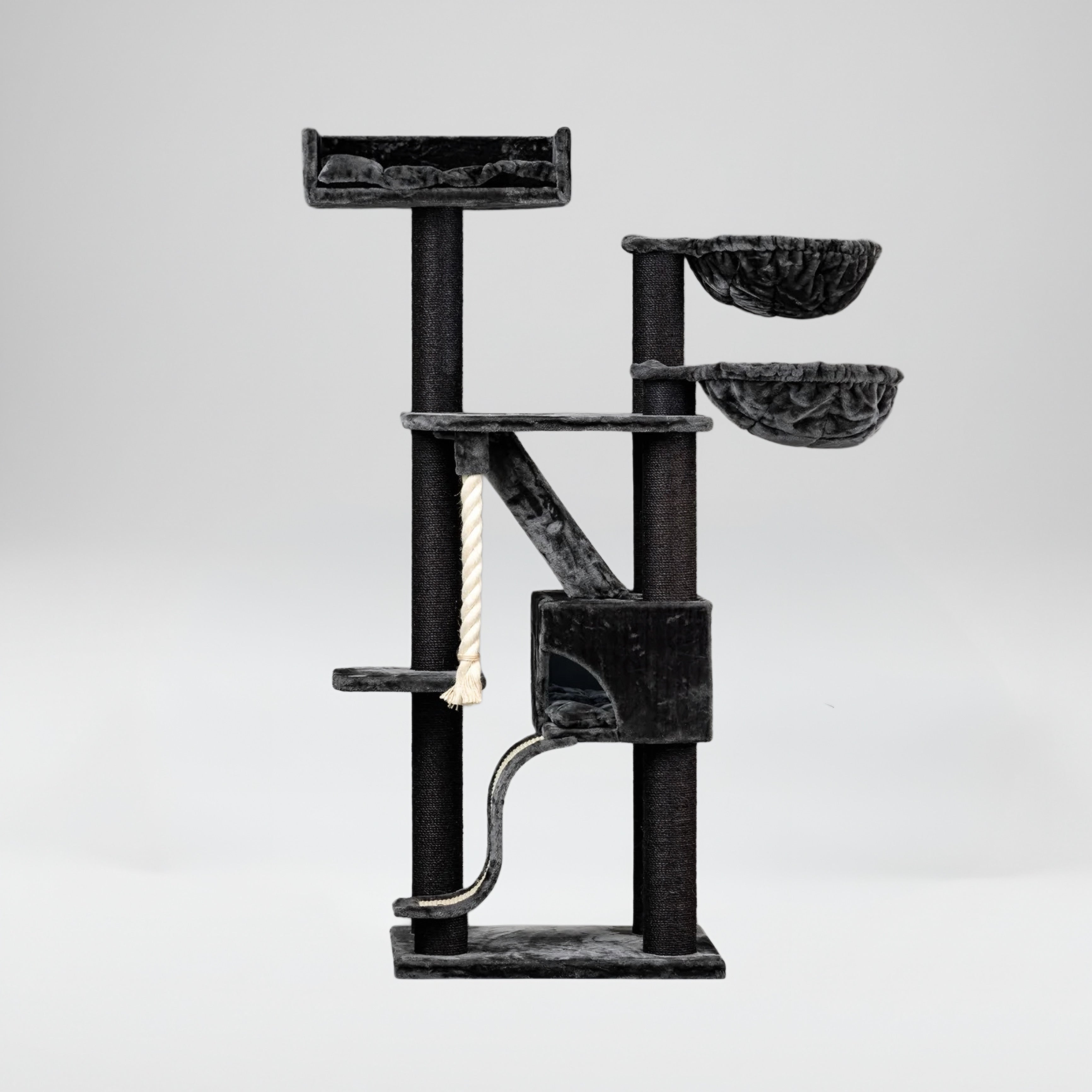 Lielas šķirnes kaķu koks Kilimandjaro de Luxe