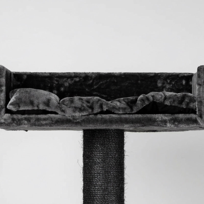 Lielas šķirnes kaķu koks Kilimandjaro de Luxe