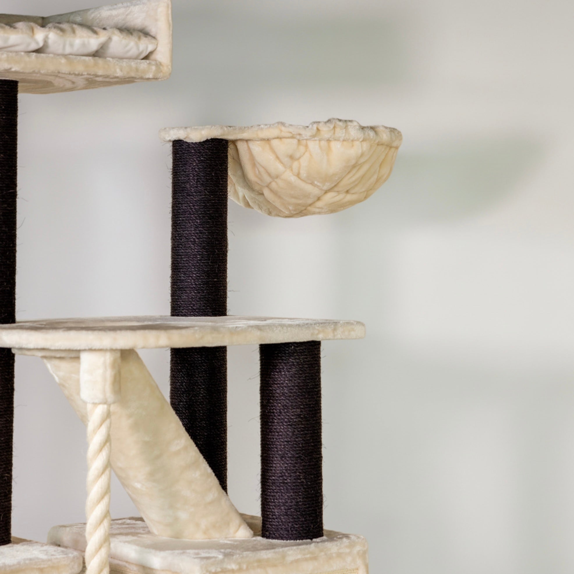 Kraapimispuu Katuskorter