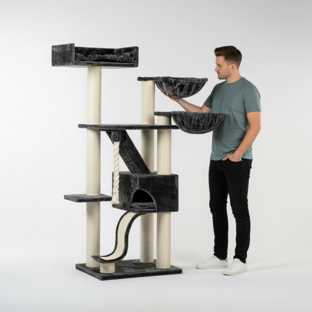 Lielas šķirnes kaķu koks Kilimandjaro de Luxe