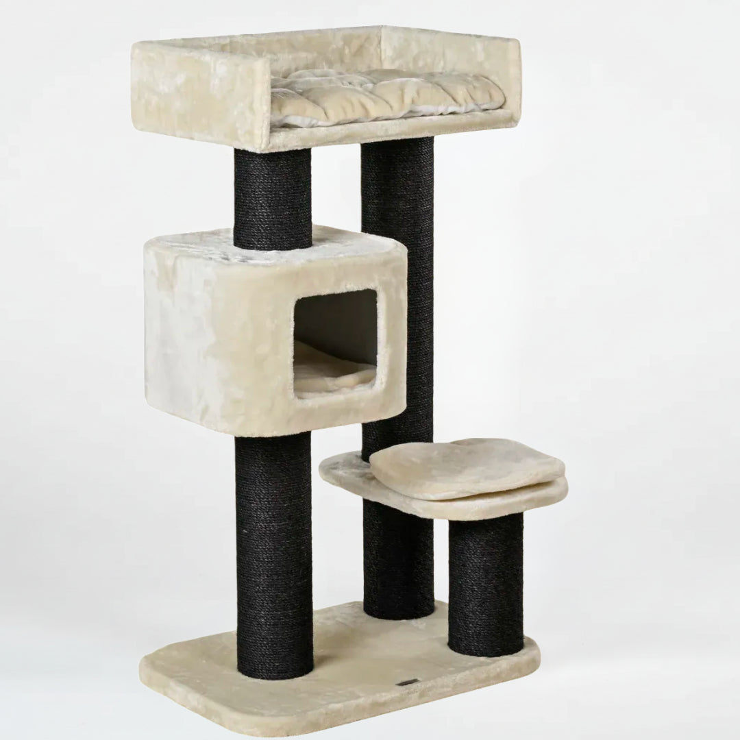 Cat Tree for Large Breeds Devon Rex